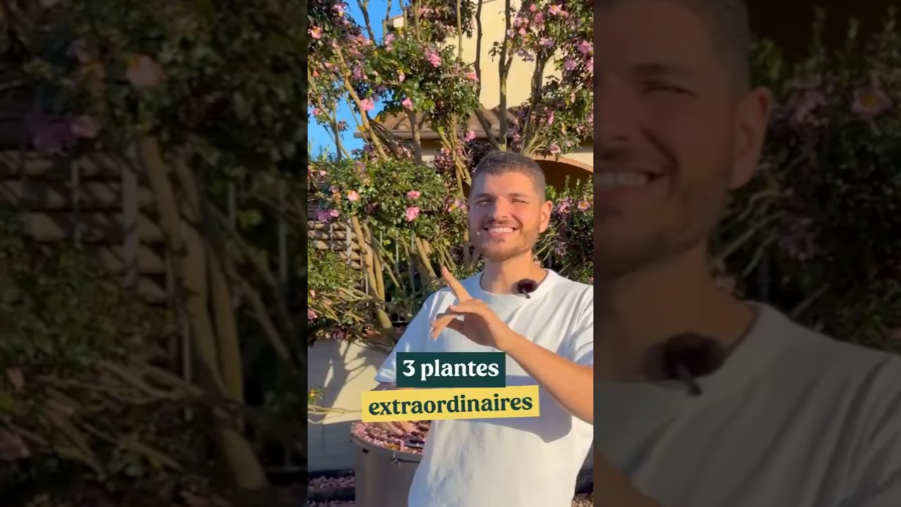 3 Plantes que tu n'as jamais vues !