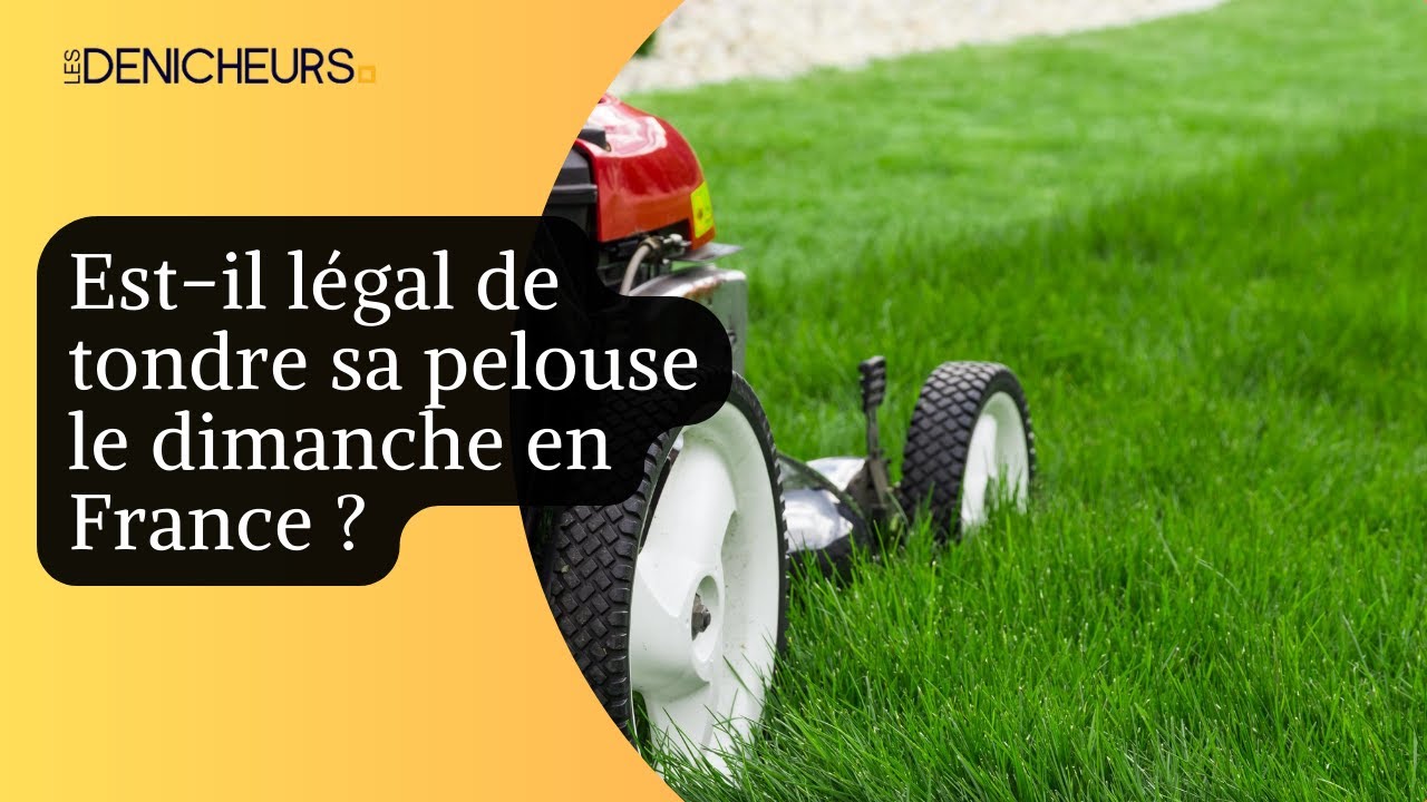 ​⚖️🏘️ Est-il légal de tondre sa pelouse le dimanche en France ? ​🍀
