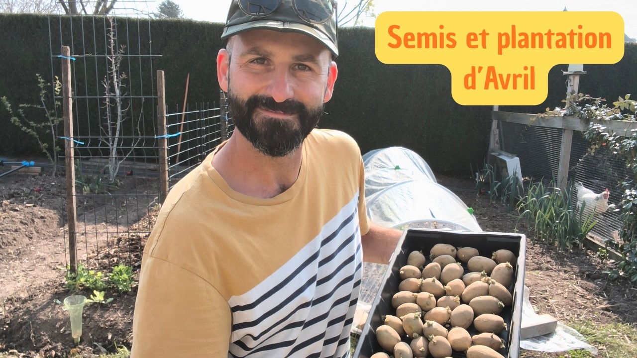 Que semer en avril ? + évolution des semis de février & mars 🌿