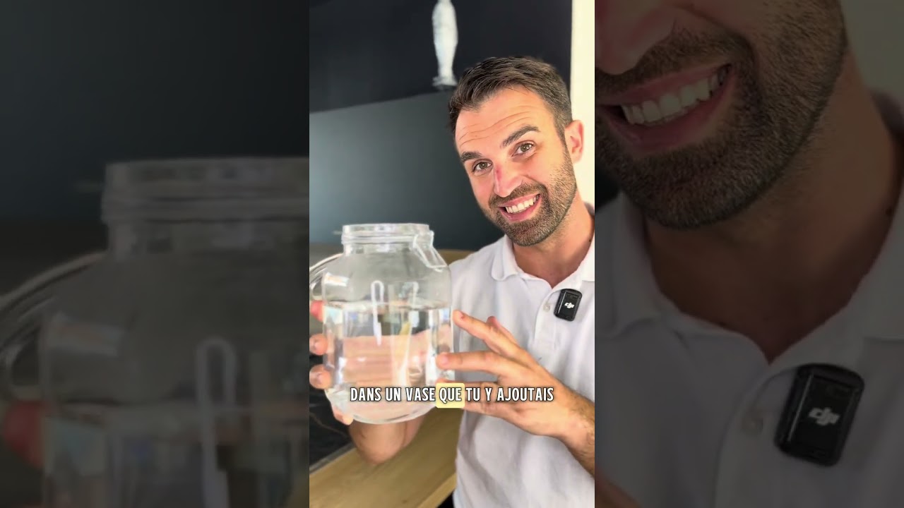 Tes fleurs fanent trop vite ? Voici l’astuce magique !