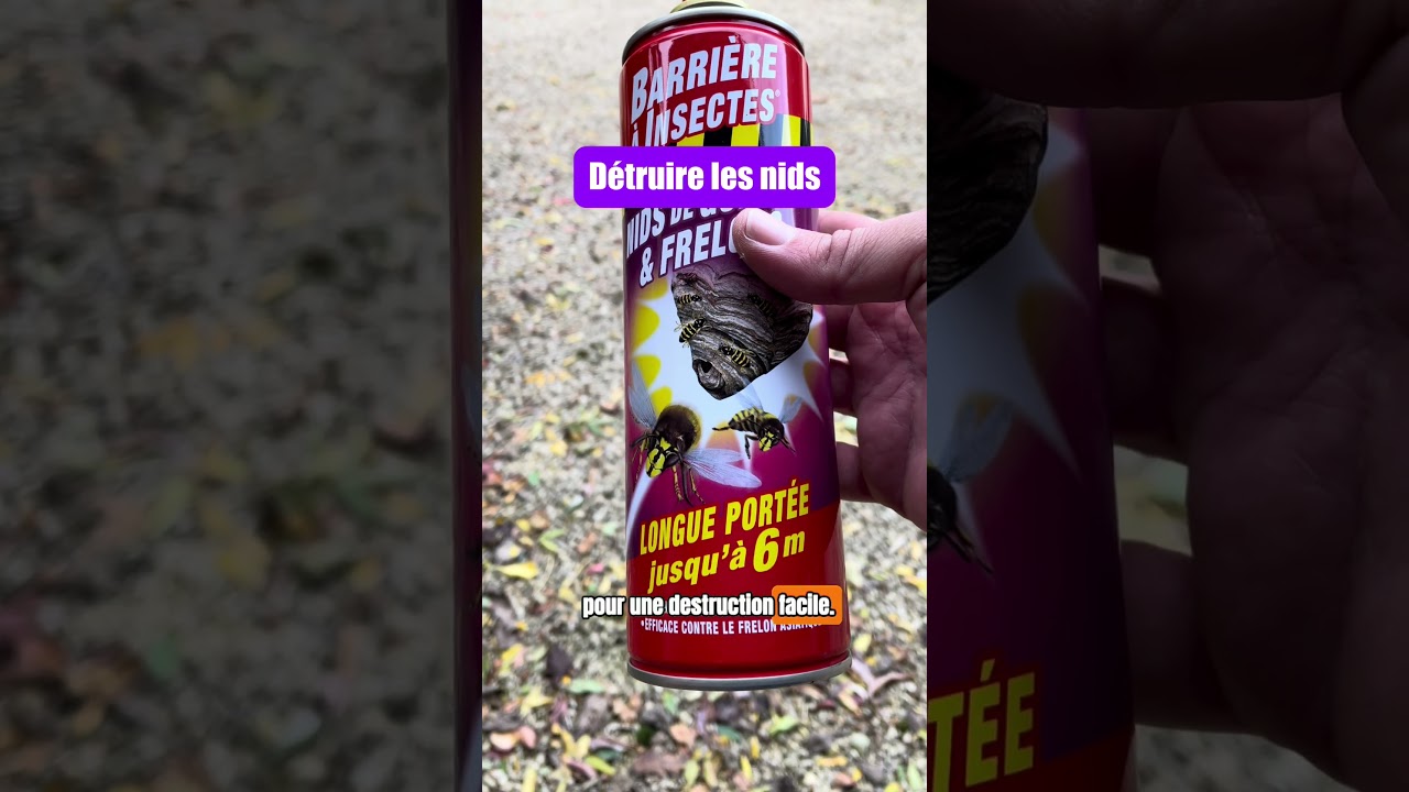 Les tempêtes font tomber les nids de frelons asiatiques