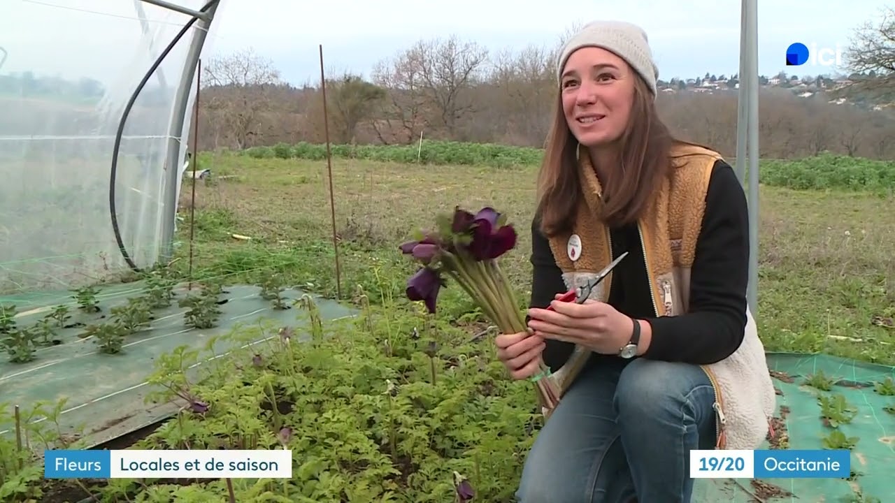 Fleurs françaises sans pesticides et locales : un choix éthique pour nos bouquets