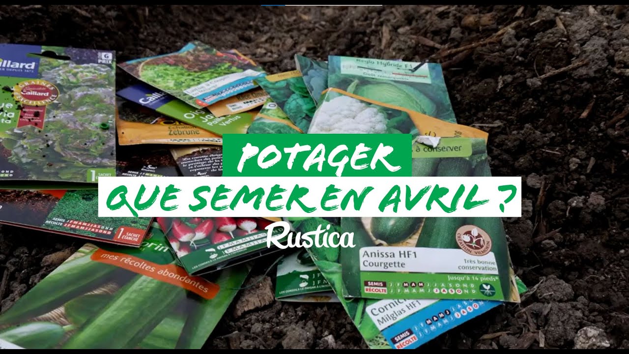 Les semis au potager en avril
