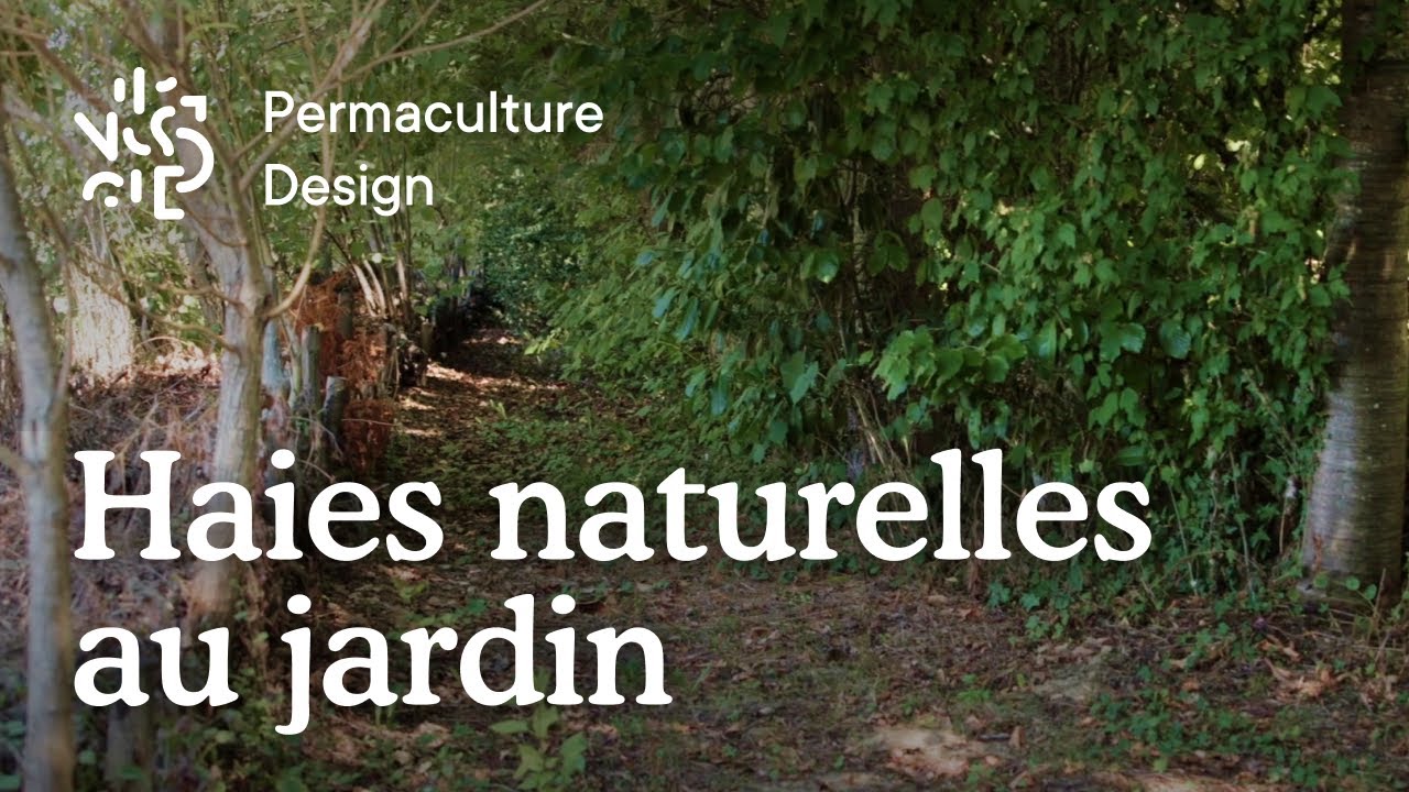 Les intérêts des haies et bosquets dans un jardin.