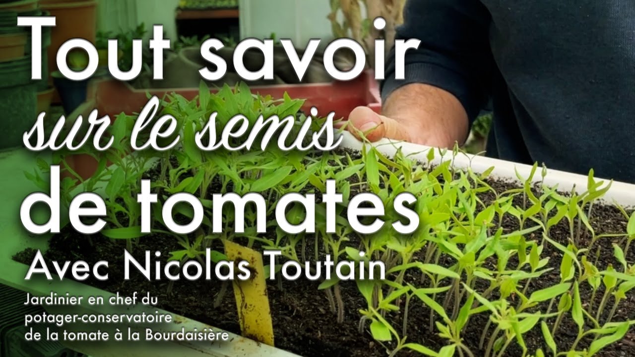 Semer ses tomates comme un pro avec Nicolas Toutain.