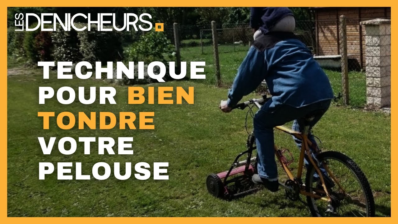 Tonte de pelouse : cette technique révolutionnaire va tout changer !