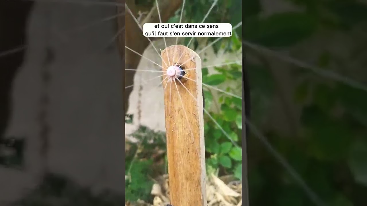 astuce arrosage irrigation jardin. garden