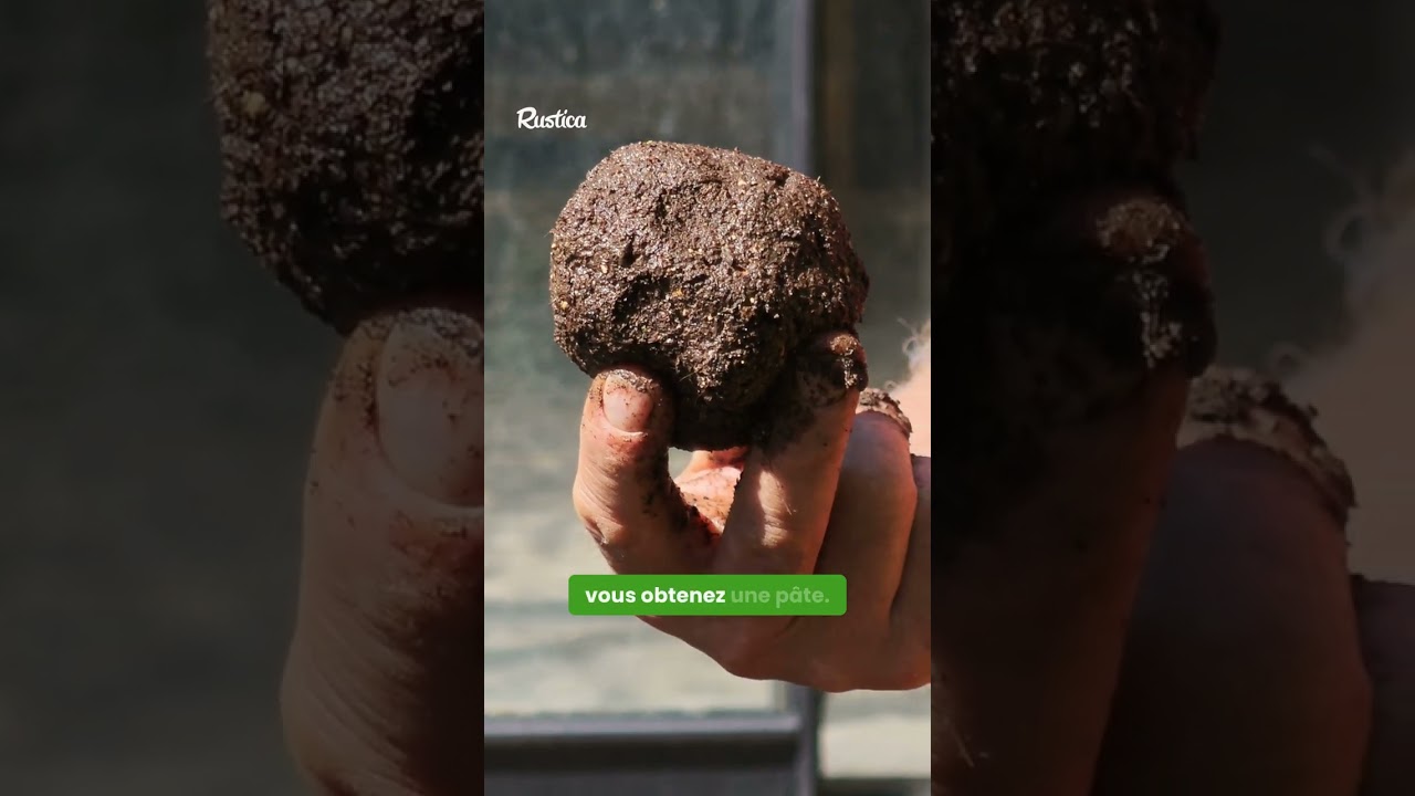 🍅 Multiplier ses tomates par 10 ? 🍅