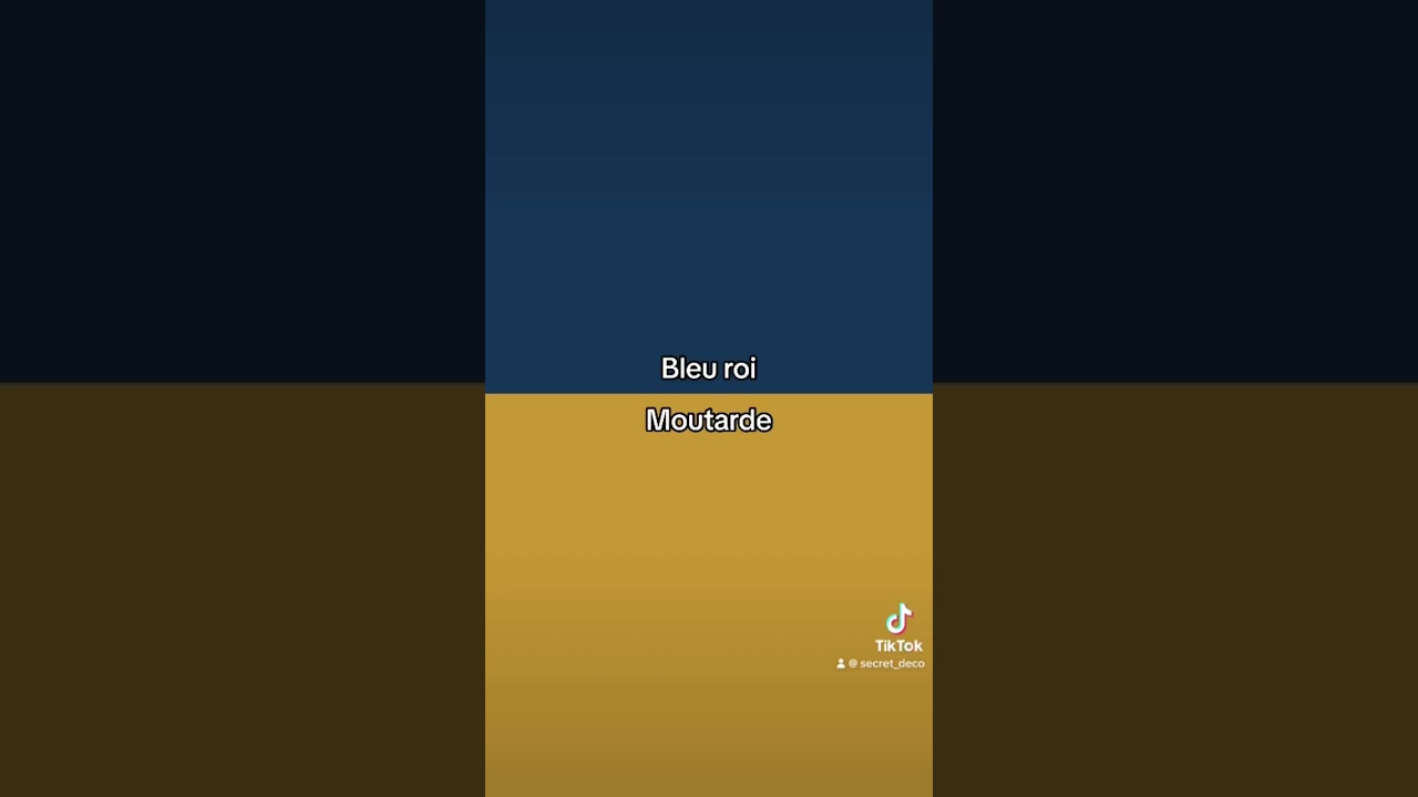 3 combinaisons de couleurs les plus tendances en 2024 😍🔥