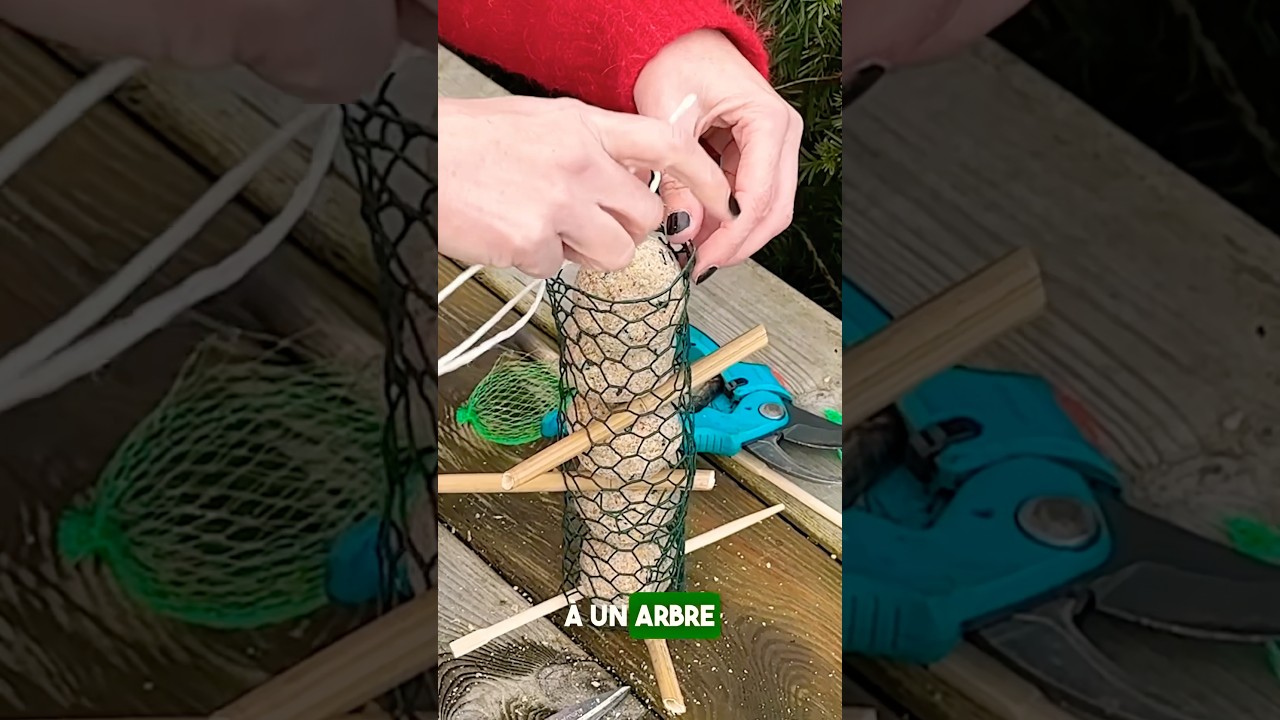 Comment nourrir les oiseaux au jardin de façon écologique et sûr. #oiseaux