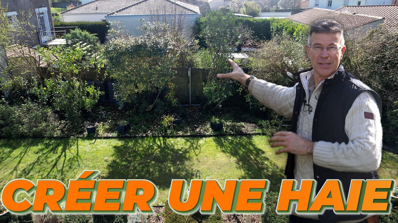 CE QU'IL FAUT SAVOIR AVANT DE PLANTER UNE HAIE - Que Faire Dans Mon Jardin ? Sem 10